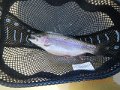Big Sping Creek 04-03-13 006
